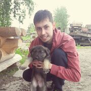 ���������� �����, ���� ������� �����, 28 ���, ������������ ��� ������, ����� � ���������