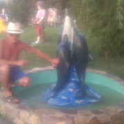 ���������� ����������, ���� ������� ���������, 46 ���, ������������ ��� ������