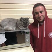 ���������� ��������, ���� ������� �������, 33 ����, ������������ ��� ����� � ���������, c�������� ���������