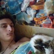 ���������� �����������, ���� ������� ���������, 28 ���, ������������ ��� ����� � ���������, c�������� ���������