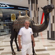  ,   , 44 ,   ,   