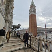 ���������� ������, ���� ������� ����, 49 ���, ������������ ��� ������, ����� � ���������