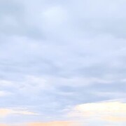 ���������� ������������, ���� ������� ������, 50 ���, ������������ ��� c�������� ���������