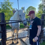 ���������� �������, ���� ������� ����, 27 ���, ������������ ��� ������, ����� � ���������, ���������