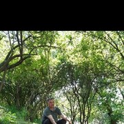  -,   , 52 ,   ,   