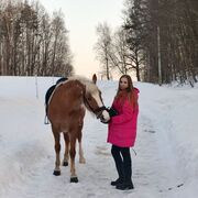 ���������� ������, ���������