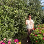 ���������� ��������, ���� ������� ����, 53 ����, ������������ ��� c�������� ���������