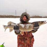 ���������� ������, ���� ������� �����, 40 ���, ������������ ��� ������, ����� � ���������