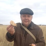  ,   , 56 ,  