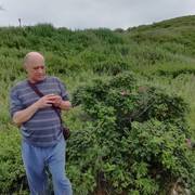  ,   , 72 ,   