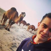 ���������� ���������, ���� ������� ����, 27 ���, ������������ ��� ������, ����� � ���������