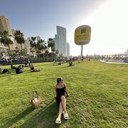 ���������� �����-���������, ���� ������� ���, 35 ���, ������������ ��� ����� � ���������, c�������� ���������, ���������