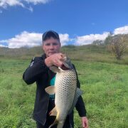  ,   Vova, 36 ,   , c 