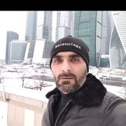  Ellingen,  Sultan, 42