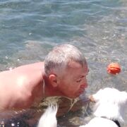  ,   , 54 ,   ,   
