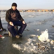 ���������� �����������, ���� ������� Pivvip, 37 ���, ������������ ��� ������, ����� � ���������, c�������� ���������