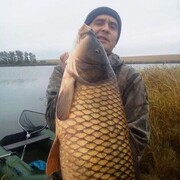 ���������� ������������, ���� ������� �����, 35 ���, ������������ ��� ������, ����� � ���������