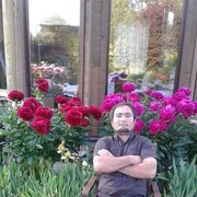  ,   Jora, 45 ,   ,   , c 