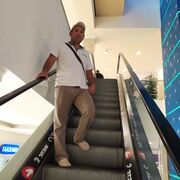 ���������� �����, ������� ����, 41