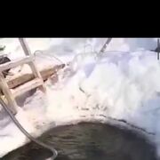 ���������� �����, ���� ������� ���������, 61 ���, ������������ ��� ������, ����� � ���������