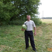 ���������� ������ �����, ���� ������� Gans, 50 ���, ������������ ��� ������, ����� � ���������, c�������� ���������