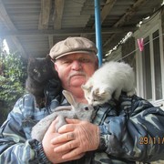  ,   Vitek, 76 ,   ,   , c 