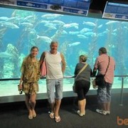  ,   Oleg, 58 ,  