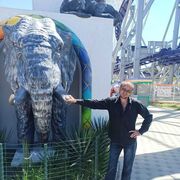 ���������� ������, ���� ������� ����, 44 ����, ������������ ��� ������, ����� � ���������, ���������