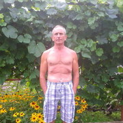 ���������� �����, ���� ������� Daimon, 62 ����, ������������ ��� ������, ����� � ���������, c�������� ���������