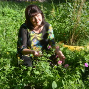 ���������� ����������, ���� ������� ������, 53 ����, ������������ ��� ����� � ���������, c�������� ���������