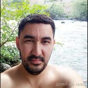  ,   Ali, 41 ,     , c 