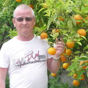 ���������� ������, ���� ������� ���������, 72 ����, ������������ ��� ������