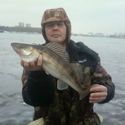 ���������� ������, ���� ������� ������, 55 ���, ������������ ��� ������, ����� � ���������, c�������� ���������