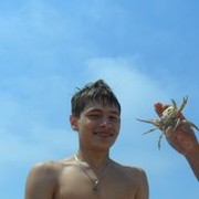 ���������� �����, ���� ������� Niki, 33 ����, ������������ ��� ������, ����� � ���������, c�������� ���������