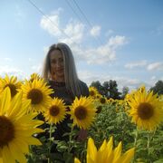 ���������� ����, ������