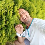 ���������� ������, ���� ������� ������, 41 ���, ������������ ��� ������, ����� � ���������