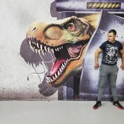  ,   , 31 ,  
