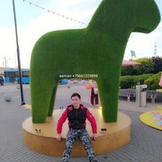  ,   , 27 ,     