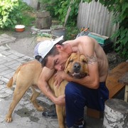   ,   , 52 ,   