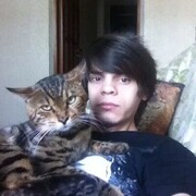  ,   Shamil, 29 ,   ,   , c 