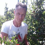  --,   , 48 ,   