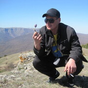 ���������� ���������, ���� ������� ��������, 38 ���, ������������ ��� ������, ����� � ���������