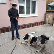  ,   , 55 ,   ,   , c 