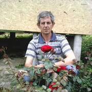  ,   , 55 ,  
