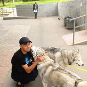 ���������� ������, ���� ������� ������, 43 ����, ������������ ��� ������, ����� � ���������, c�������� ���������