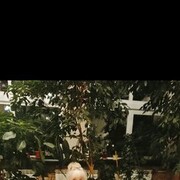 ���������� �����������, ���� ������� �����, 57 ���, ������������ ��� ������, ����� � ���������