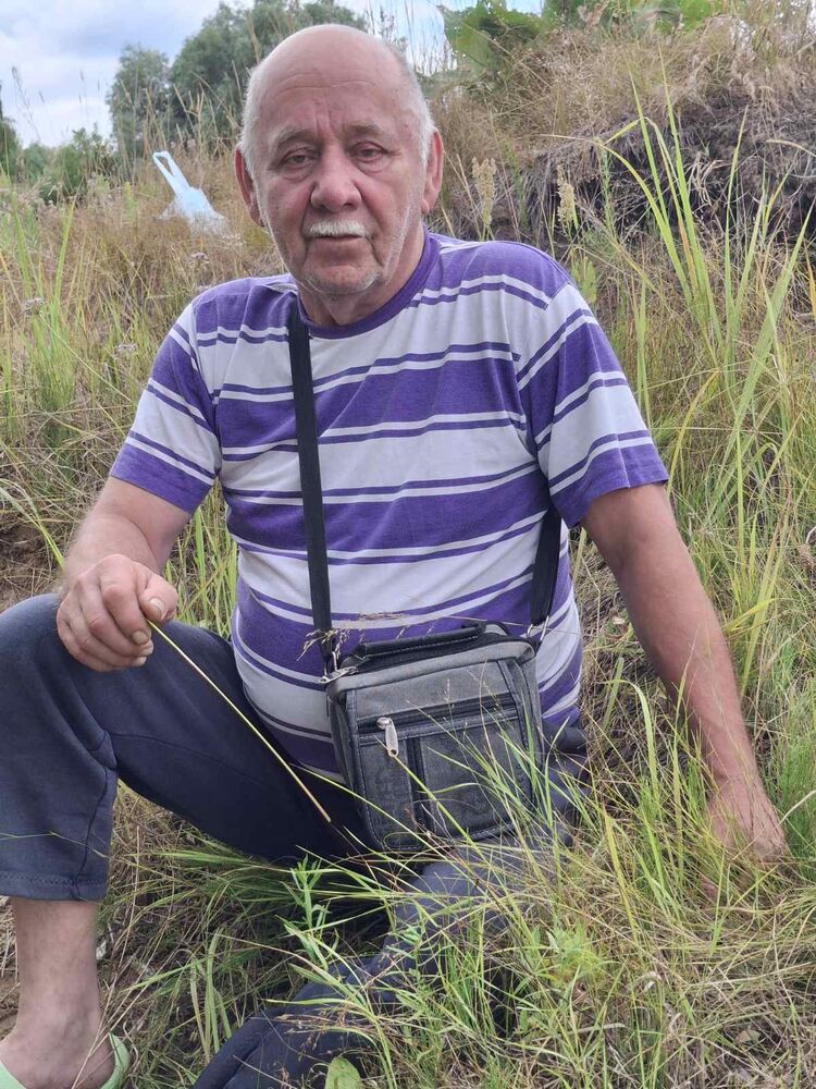 ���������� ����, ���� ������� ��������, 66 ���, ������������ ��� c�������� ���������