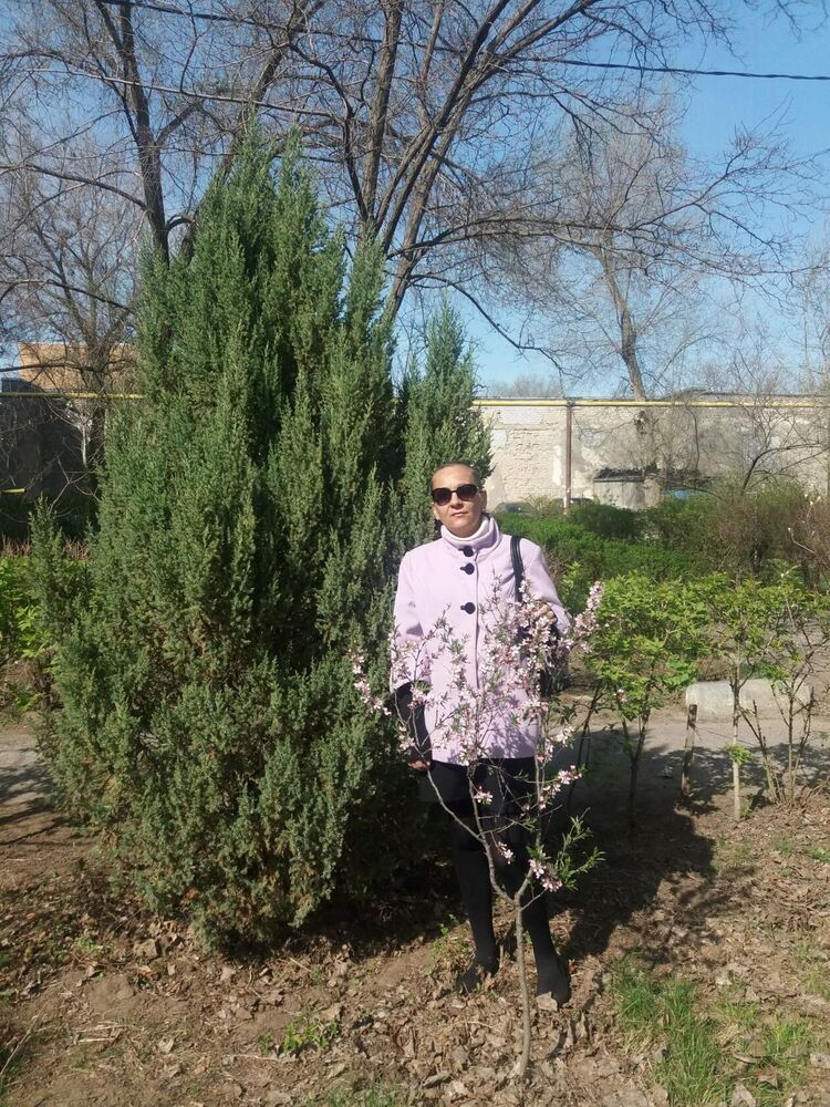 ���� 55406235 ������� ����, 40 ���, ���� ���������� � ����������