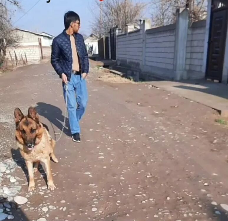  37630305  Jonik, 28 ,    -