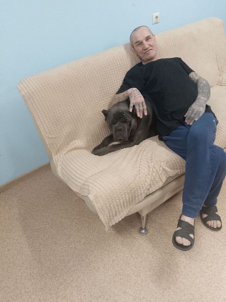 ���� 56176885 ������� �����, 58 ���, ���� ���������� � ������